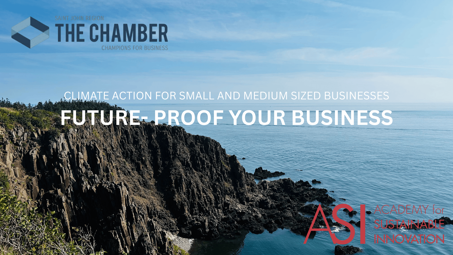 CLIMATE ACTION FOR SMALL AND MEDIUM SIZED BUSINESSES FUTURE- PROOF YOUR BUSINESS (2)